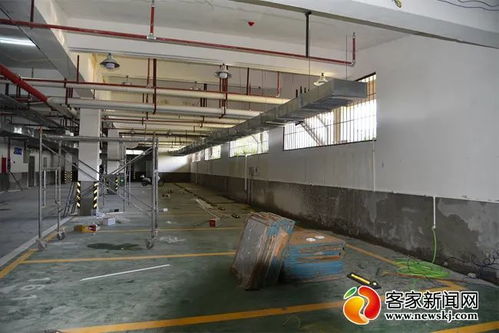 广州某4S店突发大火 河北邯郸依法处置60余处洗车场所